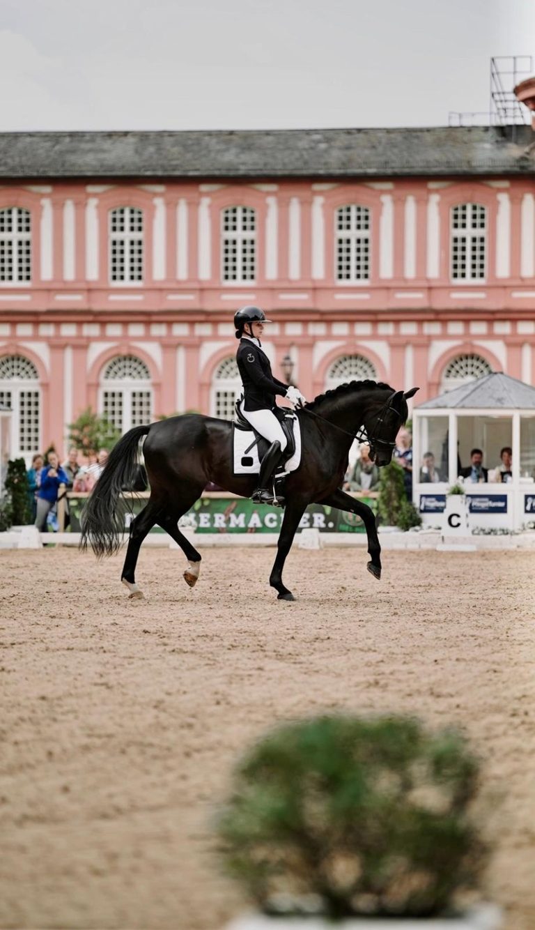 Horse Power Equine fotografie