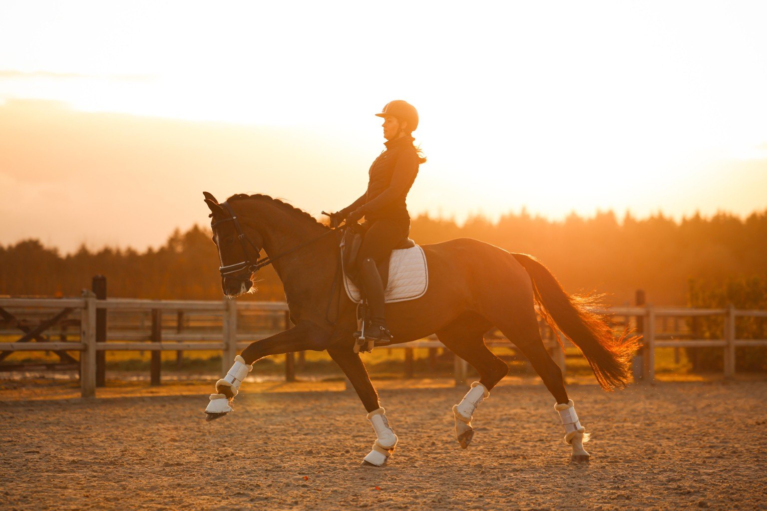 Daria Ponomareva rijdt een paard bij zonsondergang