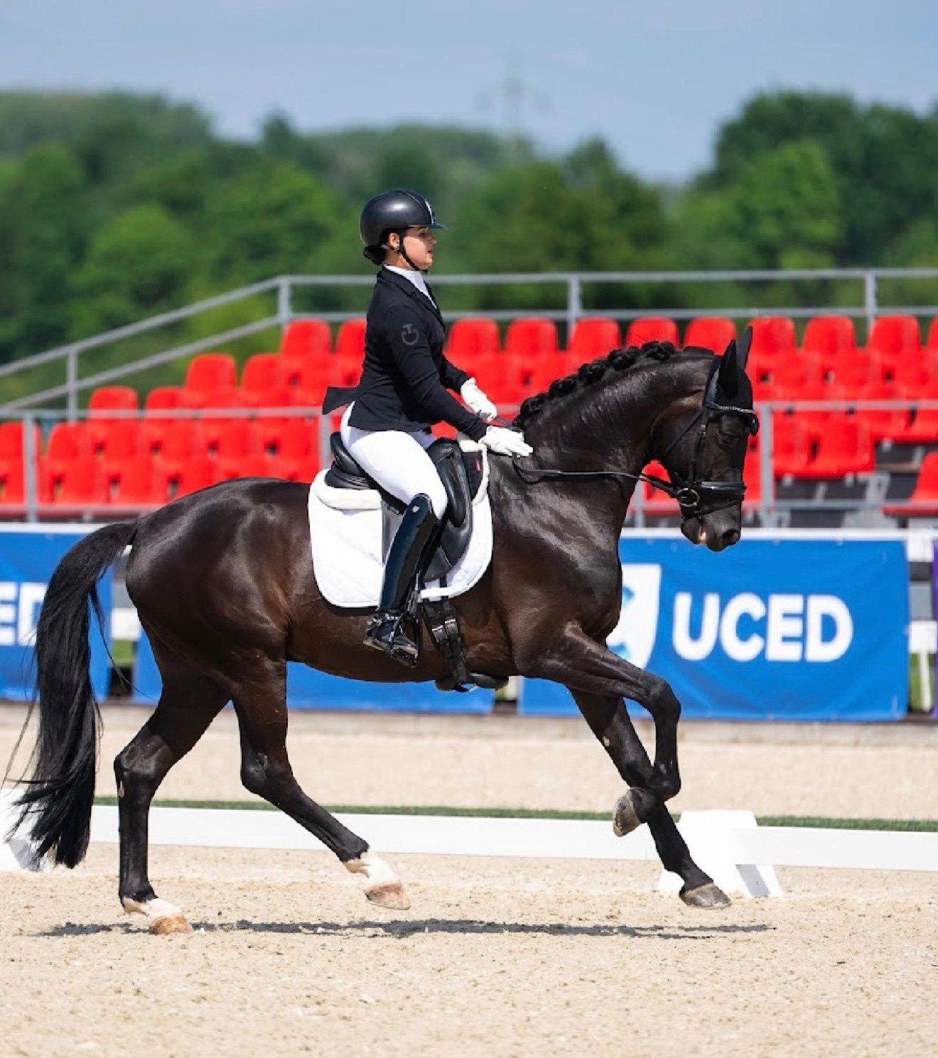 Dressage partnership in an international competition arena