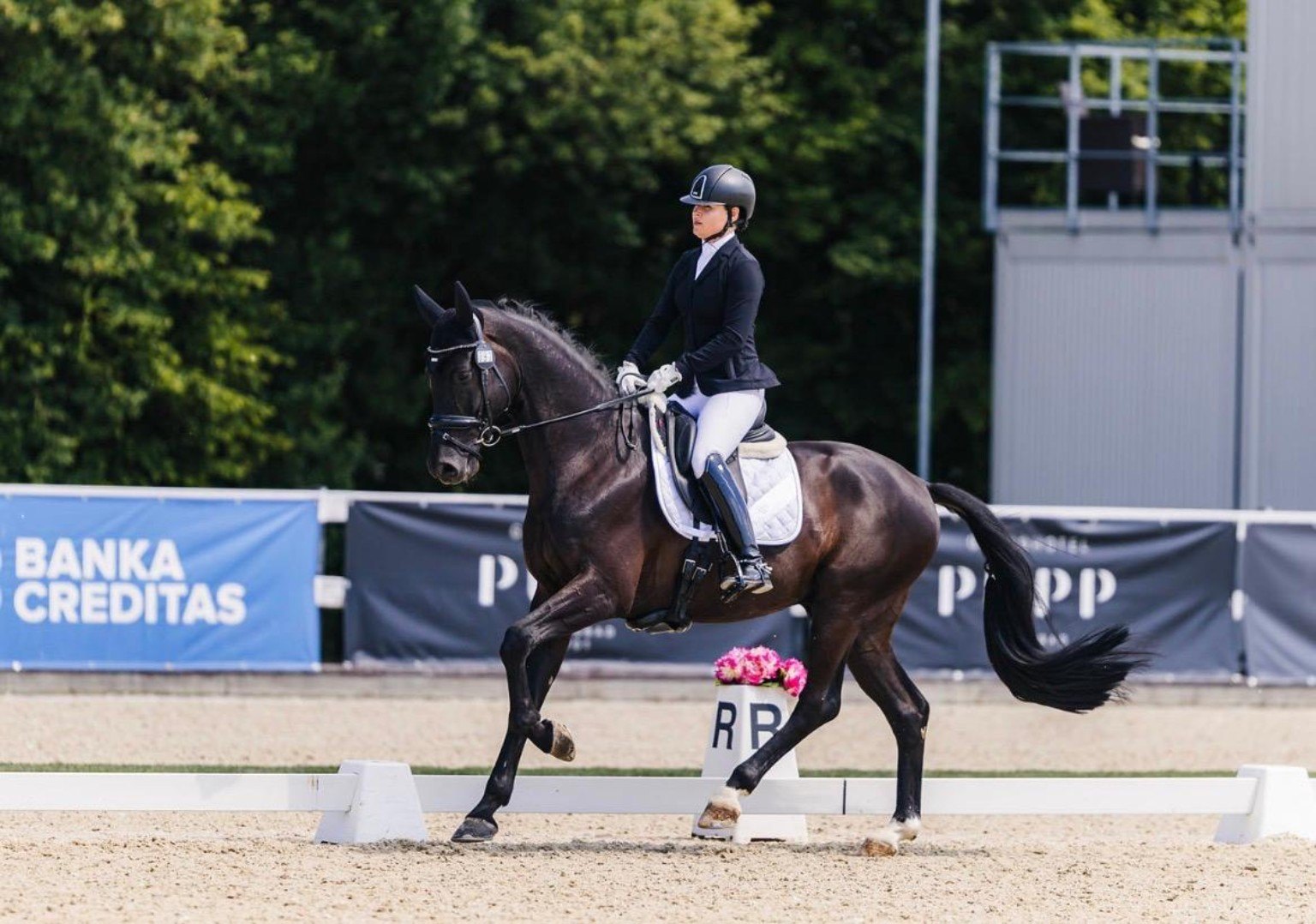 Daria Ponomareva with a dark dressage horse in the competition arena